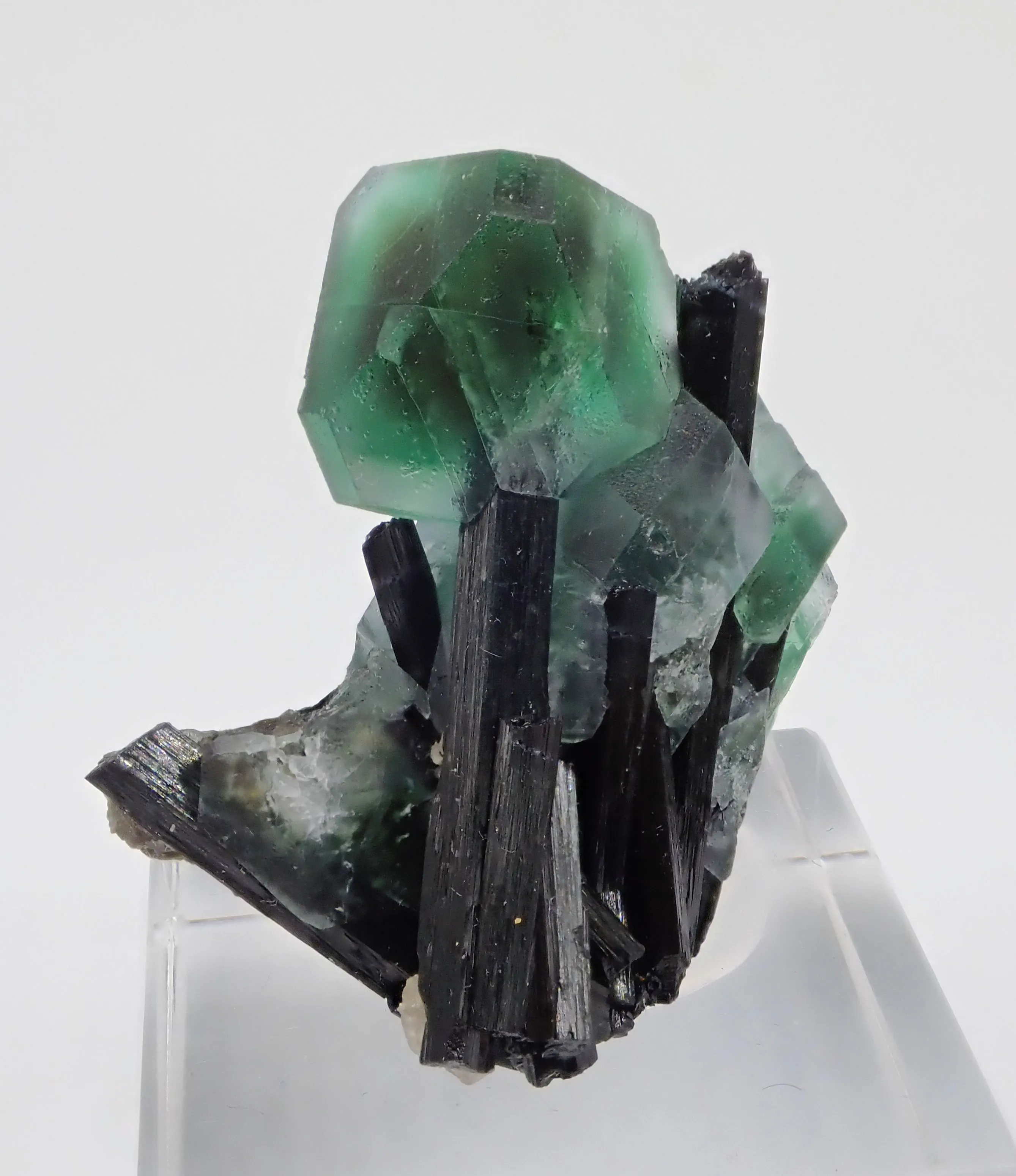 Fluorite with Schorl Tourmaline - image 4