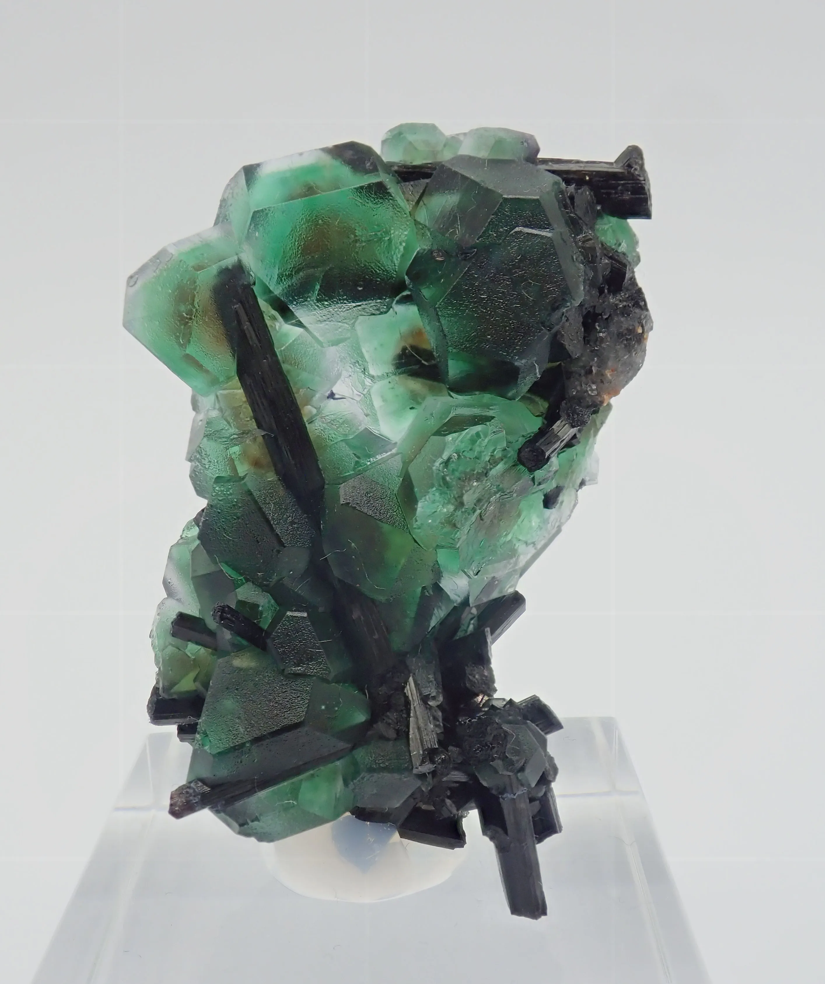 Fluorite with Schorl Tourmaline - image 2