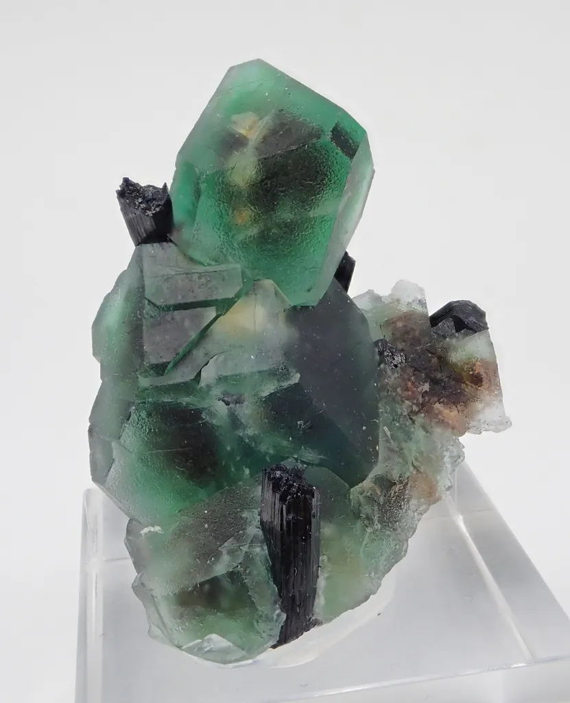 Fluorite with Schorl Tourmaline image