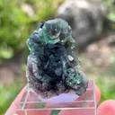 Fluorite with Schorl Tourmaline - image 5