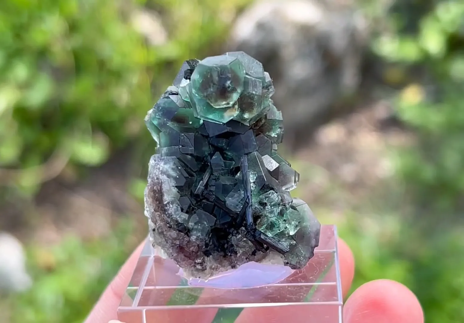 Fluorite with Schorl Tourmaline - image 5