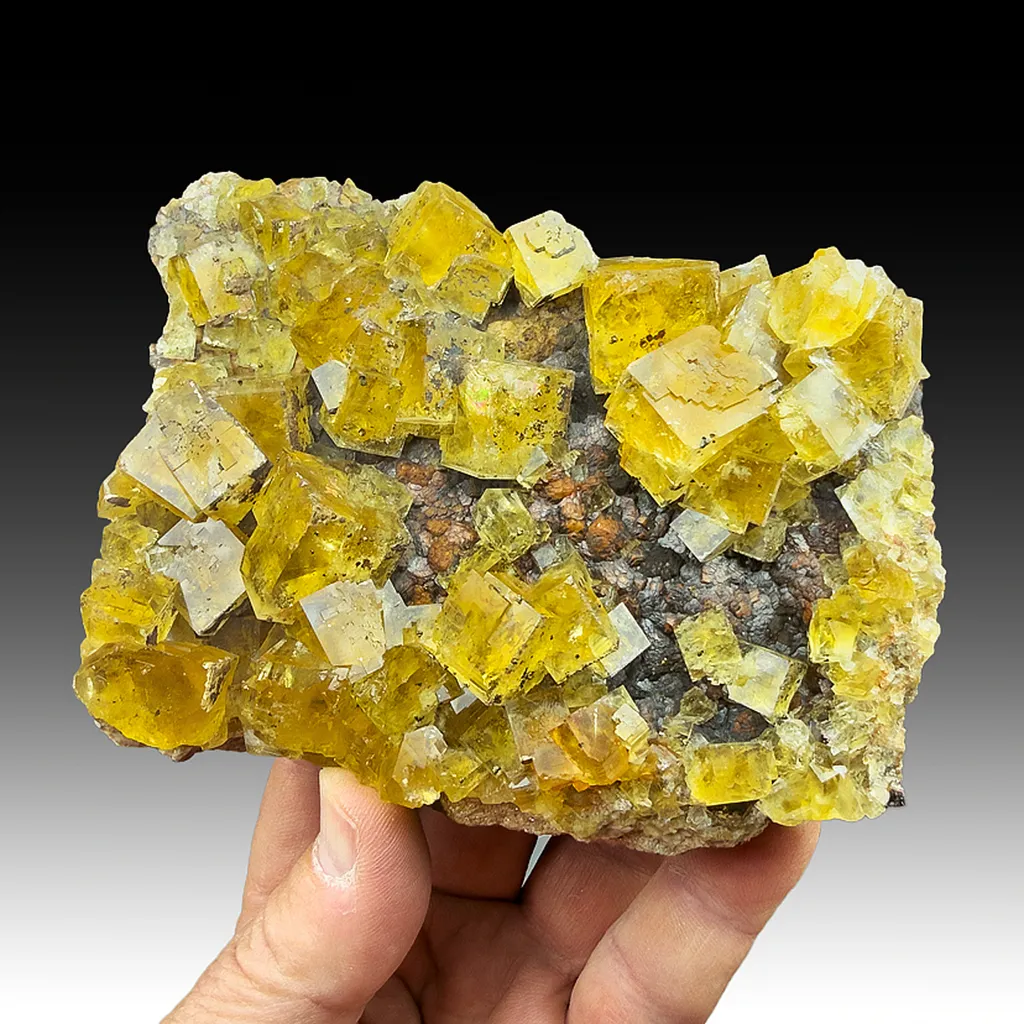 Fluorite with Siderite image