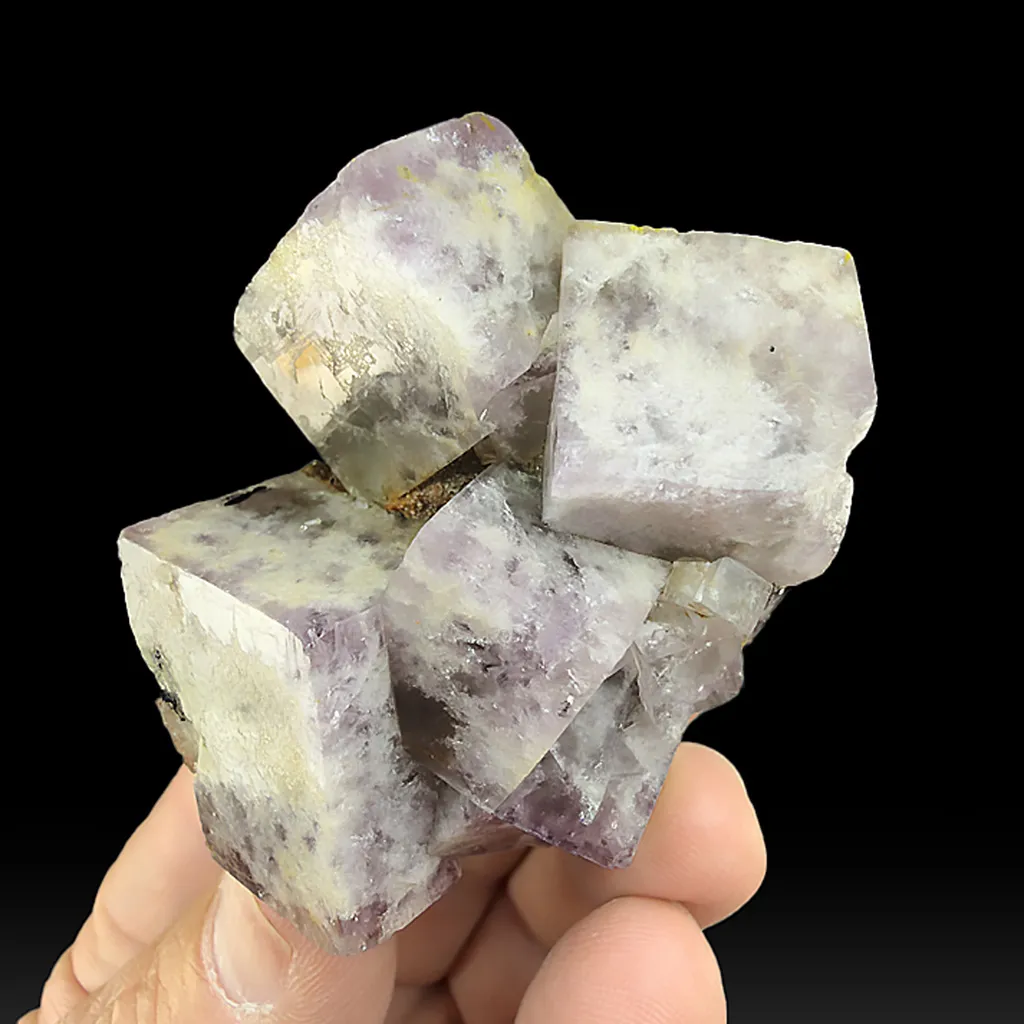 Fluorite with Siderite image