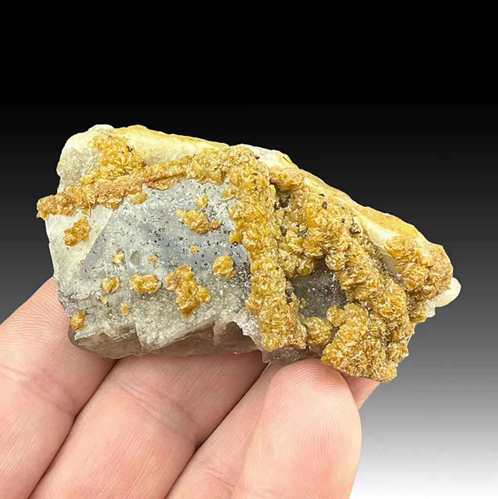 Fluorite with Siderite image