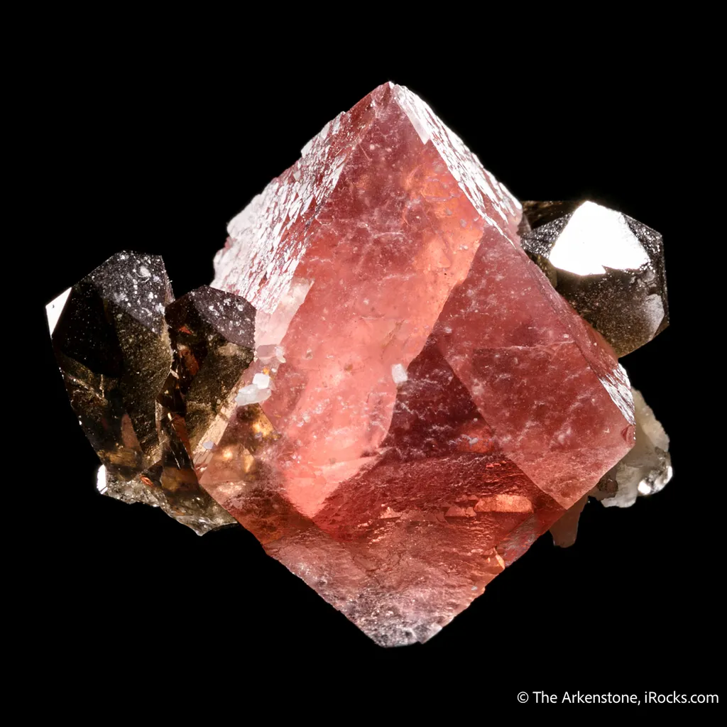 Fluorite with Smoky Quartz (floater) - image 5