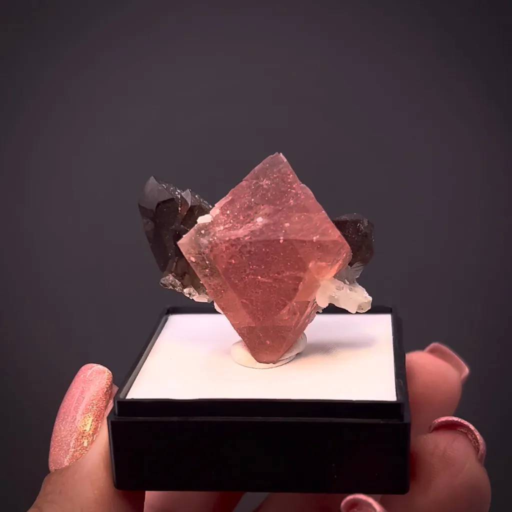Fluorite with Smoky Quartz (floater) - image 2