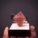 Fluorite with Smoky Quartz (floater) - image 2