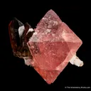 Fluorite with Smoky Quartz (floater) - image 6