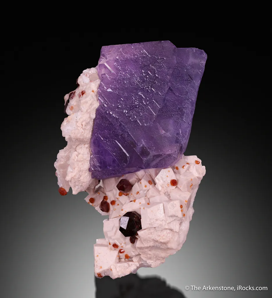 Fluorite with Spessartine and Albite image