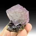 Fluorite with Sphalerite - image 1