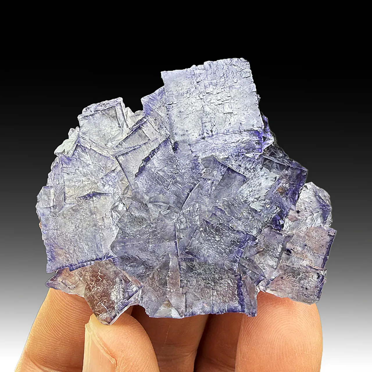 Fluorite with Sphalerite - image 1