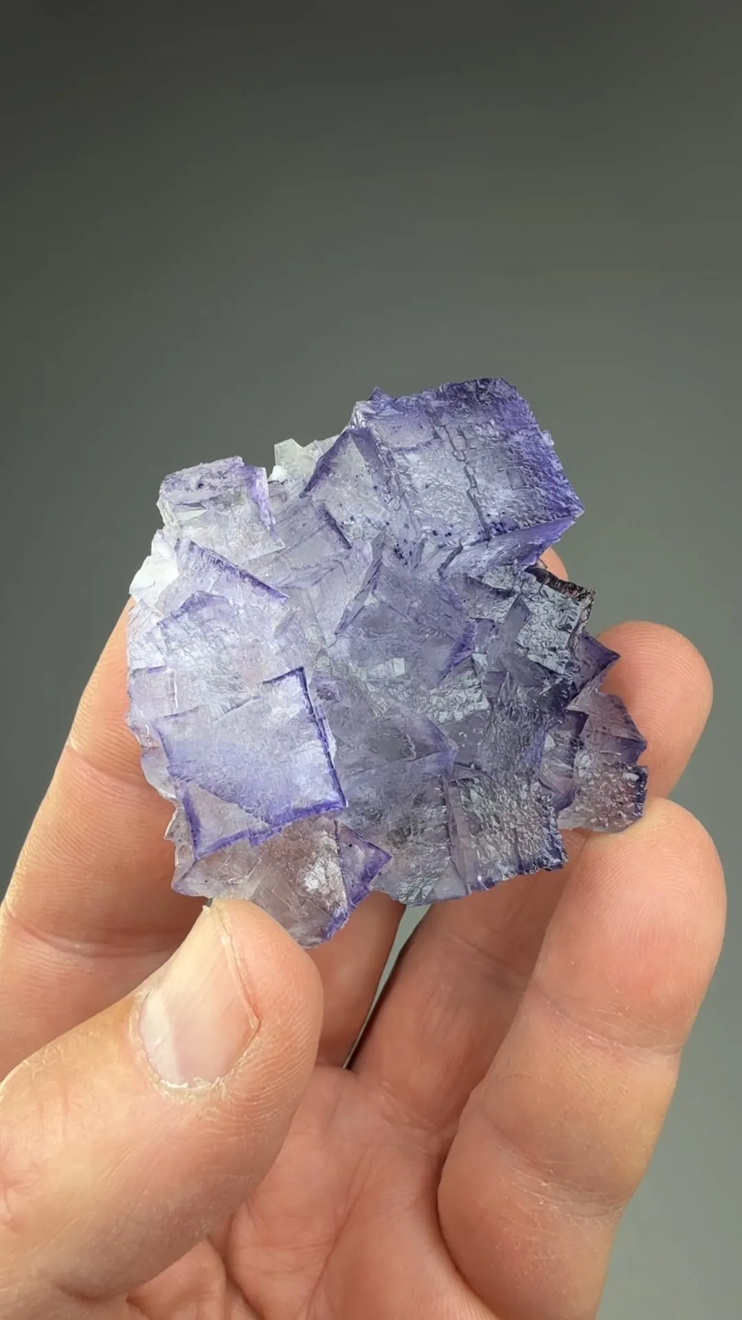 Fluorite with Sphalerite - image 2
