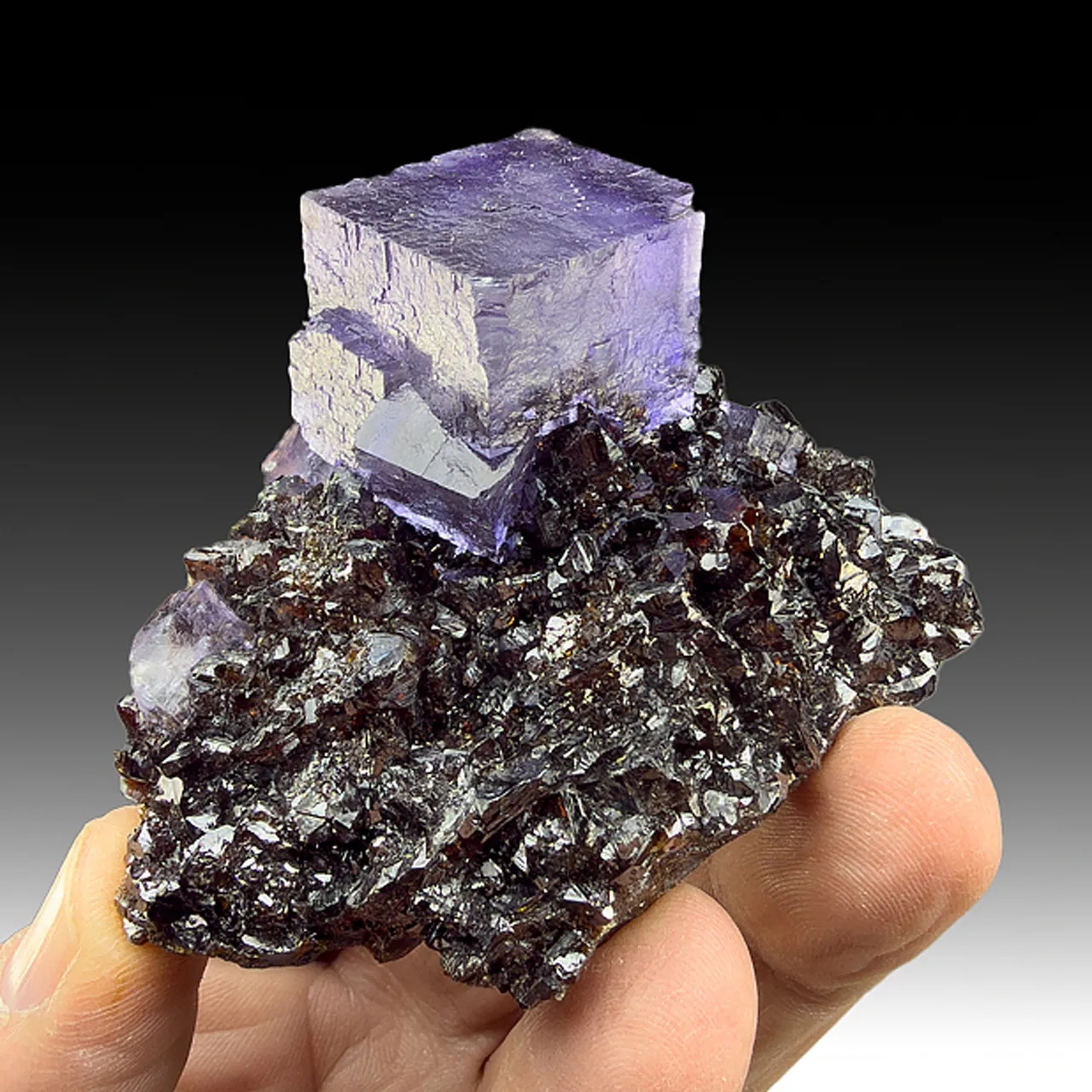 Fluorite with Sphalerite - image 1