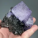 Fluorite with Sphalerite - image 2