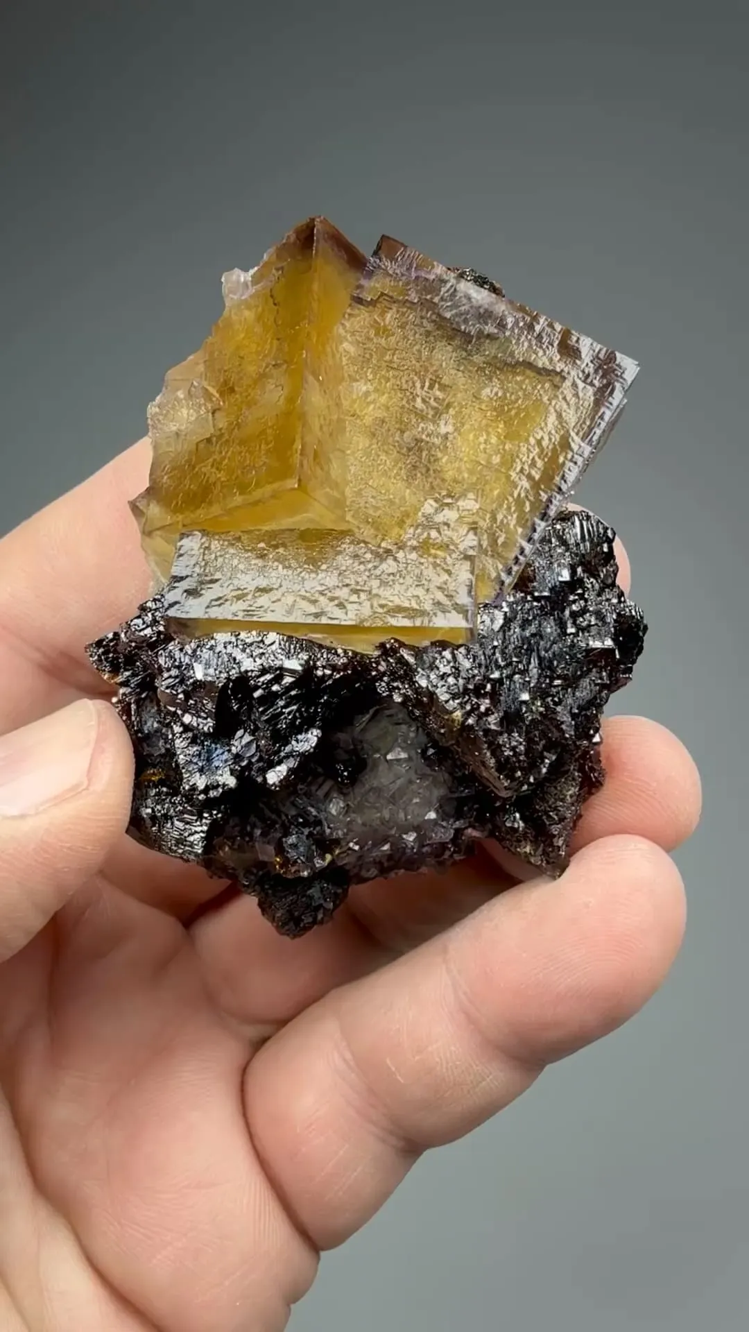 Fluorite with Sphalerite - image 2