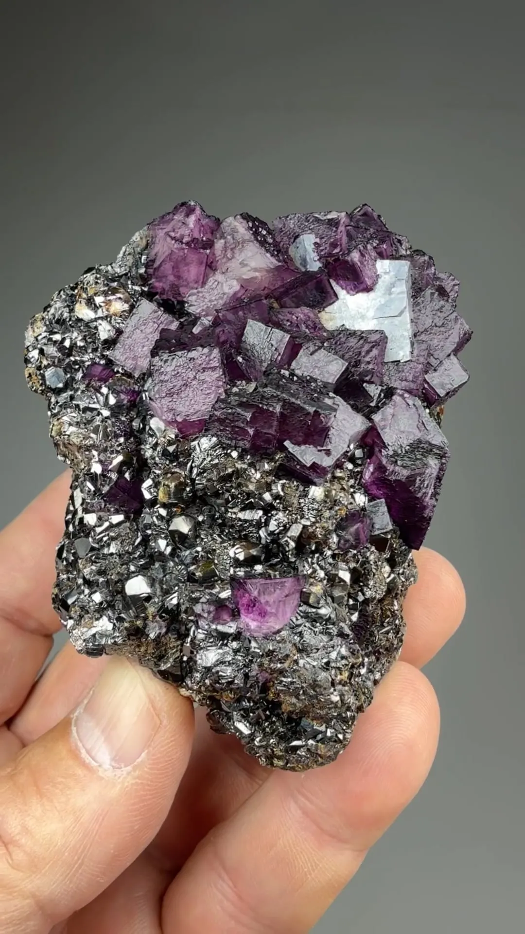 Fluorite with Sphalerite, Galena - image 2