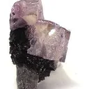 Fluorite With Sphalerite on Dolomite - image 4