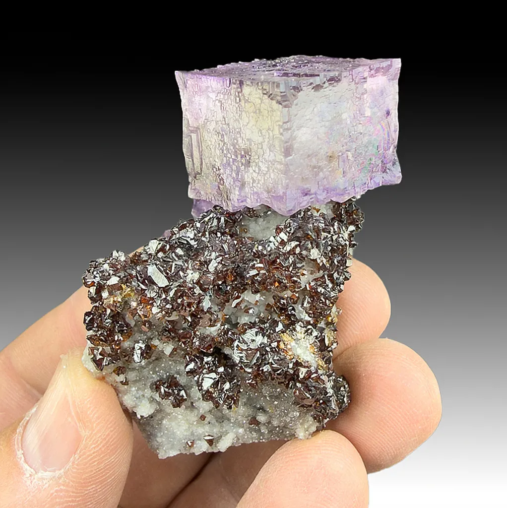 Fluorite with Sphalerite, Quartz image