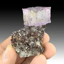 Fluorite with Sphalerite, Quartz - image 1