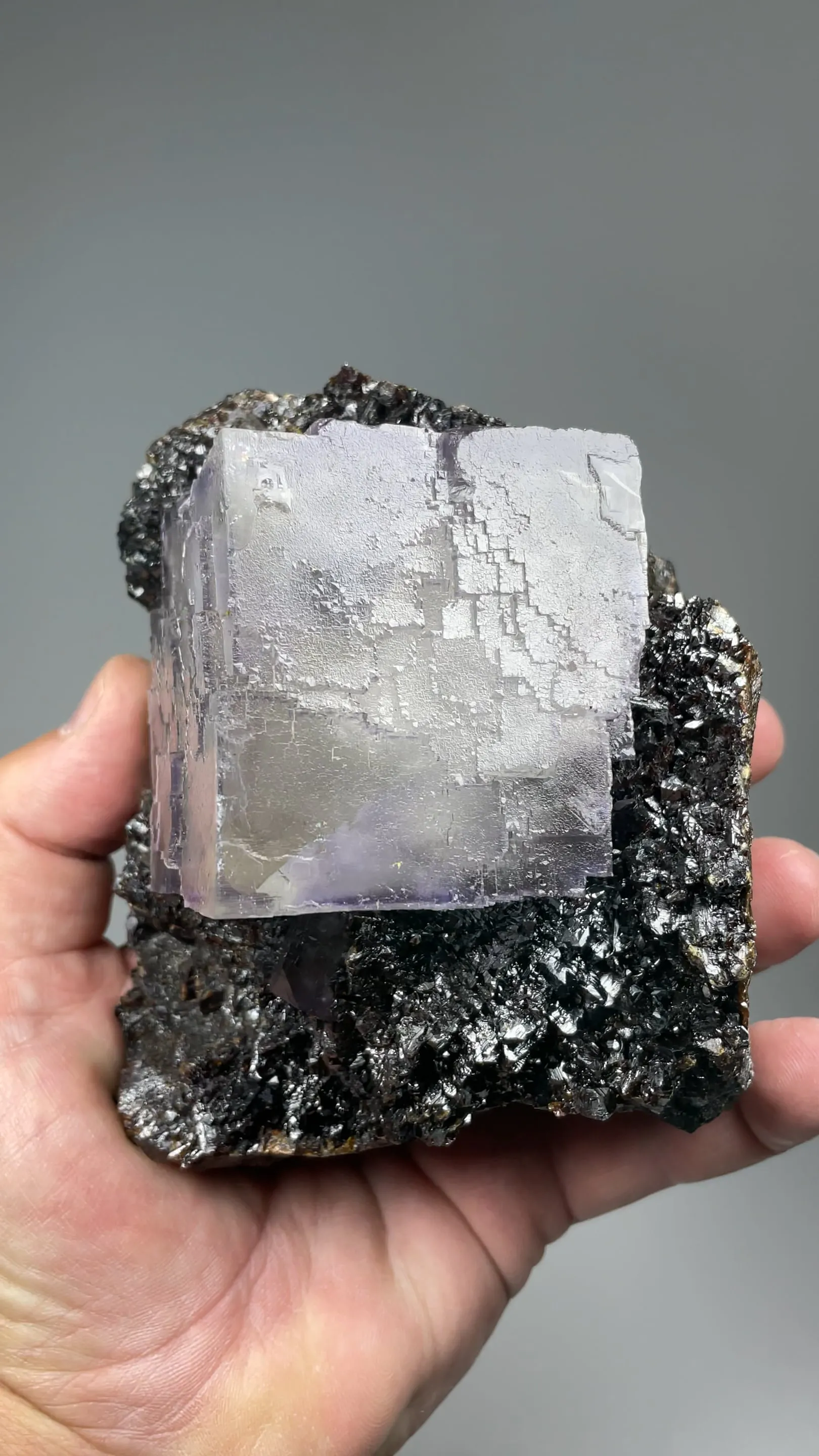 Fluorite with Sphalerite (restored) - image 2