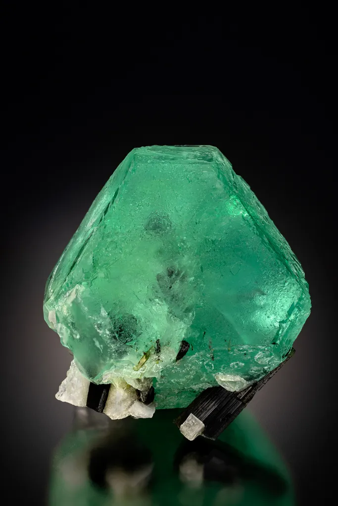 Fluorite with Tourmaline inclusion image