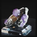 specimen video