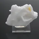 FluoriteQuartz Cast - image 4