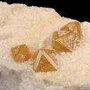 Fluornatromicrolite on Feldspar - image 1