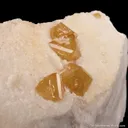 Fluornatromicrolite on Feldspar - image 3