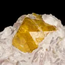 Fluornatromicrolite on Lepidolite - image 1