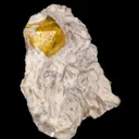 Fluornatromicrolite on Lepidolite - image 3