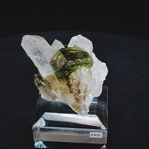 specimen video