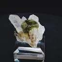 specimen video