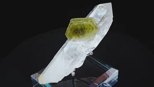 specimen video