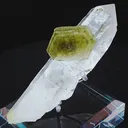 specimen video