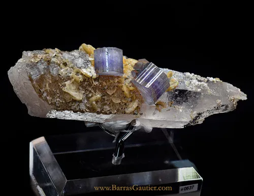 Fluoro Apatite, Quartz, Siderite, Arsenopyrite image