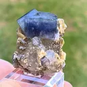 specimen video