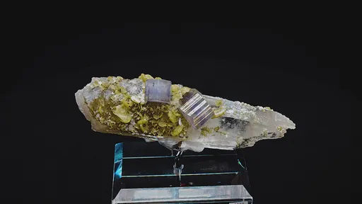 specimen video