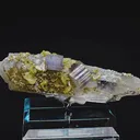 specimen video