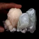 Fluro Apophyllite With Stilbite on Chalcedony Natural Mineral Specimen - image 4