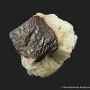 Foliated Zincite on Calcite (fl), with Willemite (fl) - image 6