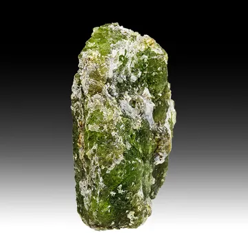 Forsterite