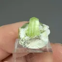 Forsterite from Sapat Gali, Khyber Pakhtunkhwa Province, Pakistan - image 2