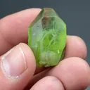 Forsterite from Sapat Gali, Khyber Pakhtunkhwa Province, Pakistan - image 2