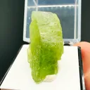Forsterite from Sapat Gali, Khyber Pakhtunkhwa Province, Pakistan - image 1