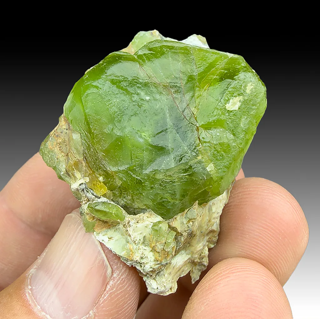 Forsterite from Sapat Gali, Khyber Pakhtunkhwa Province, Pakistan image