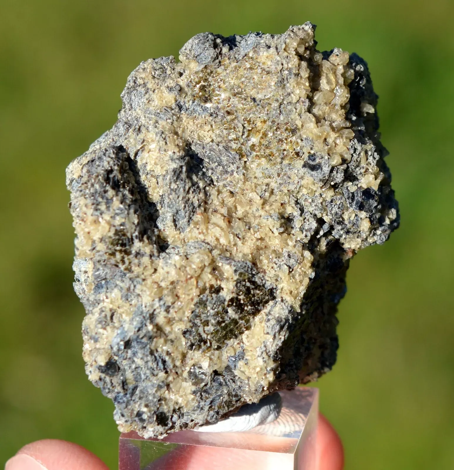 Forsterite & Spinel 61 grams - Mount Somma, Campania, Italy - image 3