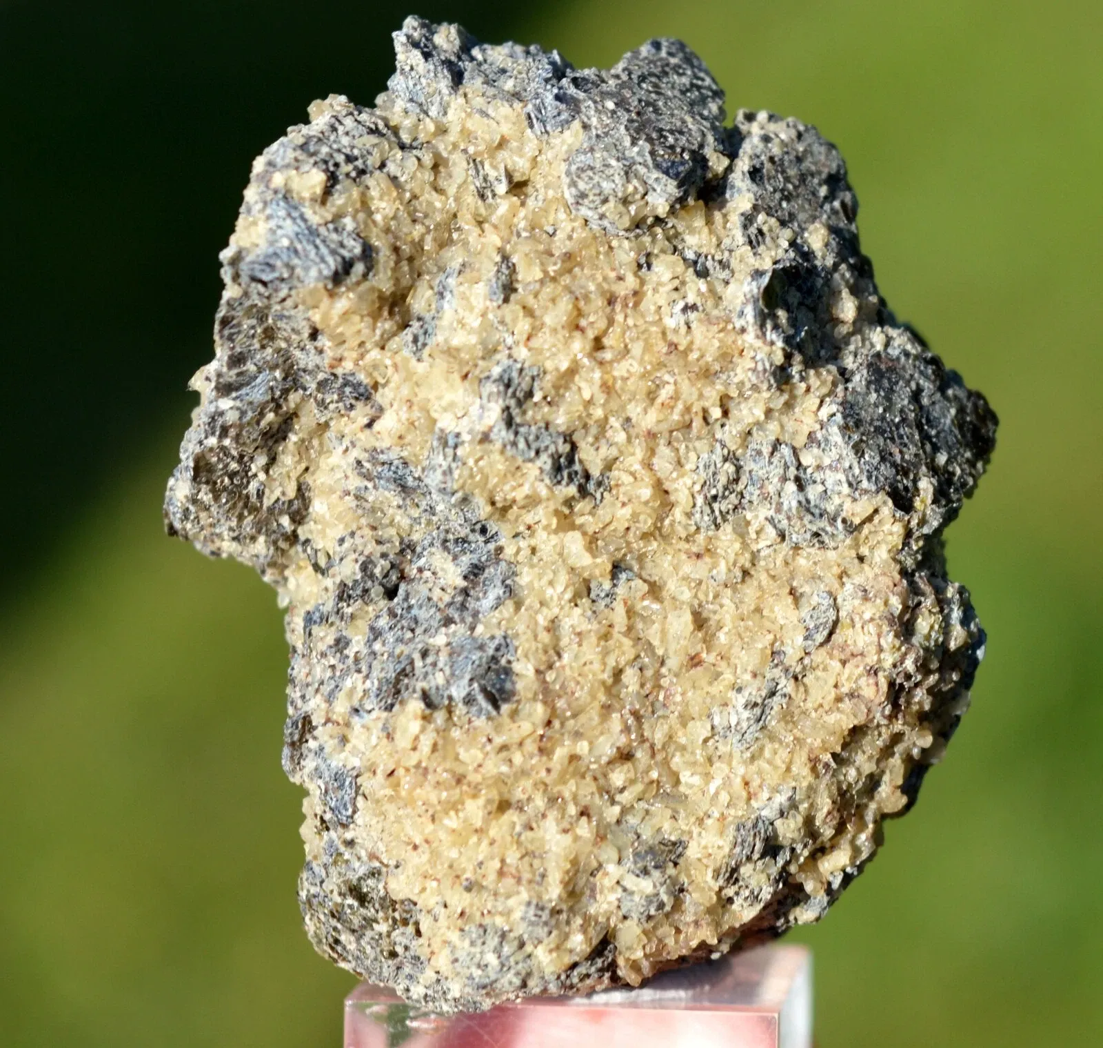 Forsterite & Spinel 61 grams - Mount Somma, Campania, Italy - image 6