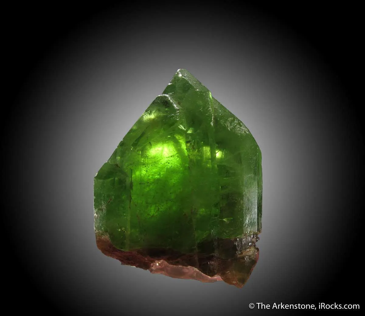 Forsterite var. Peridot - image 2