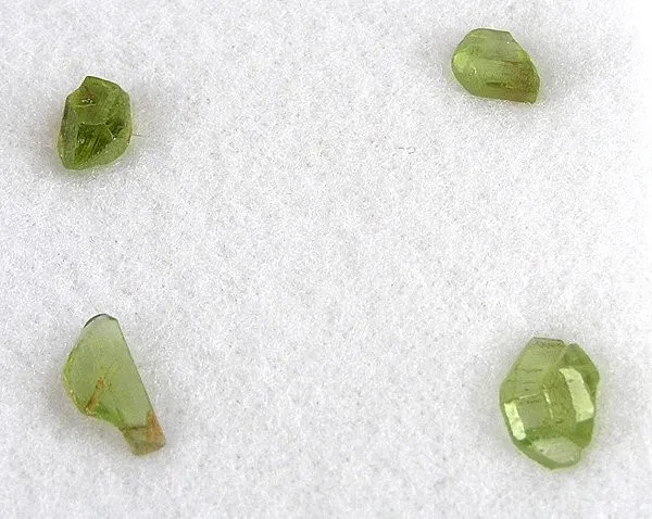 Forsterite (Var: Peridot) image